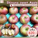 Shinano sweet apple size 24 ชุด 4 ผล