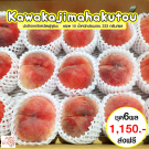 Kawanakajimahakutou size 15 ชุด 6 ผล