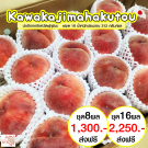 Kawanakajimahakutou size 16