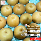Nansui pear size 16