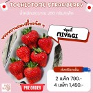 Strawberry Tochiotome