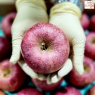 Sun fuji apple size 36