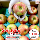 Sun jona apple size 40 ชุด 20 ผล