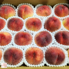 Yamanashi peach size 18 ชุด 8 ผล