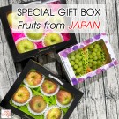 Sun fuji gift box size 32 (1 กล่อง 6 ผล)