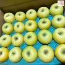Shinano gold apple size 40 ชุด 20 ผล
