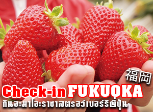 Check-in FUKUOKA กินอะมาโอะราชาสตรอว์เบอร์รีญี่ปุ่น