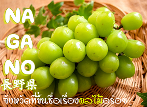 เล่นสกี กินไชน์มัสคัต ที่นากาโนะ
