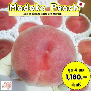 Madoka Peach size16 ชุด 4 ผล