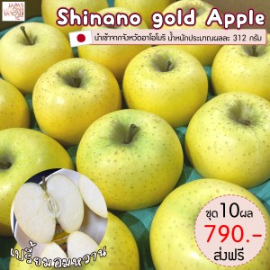 Apple shinano gold apple size 32 ชุด 10 ผล