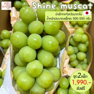 Shine muscat size 9 ชุด 2 พวง