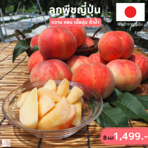 Fukushima peach size 18 ชุด 8 ผล