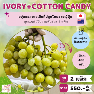 Grape Ivory 1 แพ็ก + Cotton Candy 1 แพ็ก