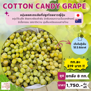 Grape Cotton Candy ยกลัง 8 กก.