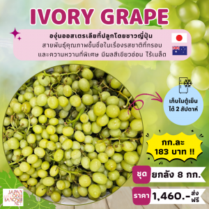 Grape Ivory ยกลัง 8 กก.