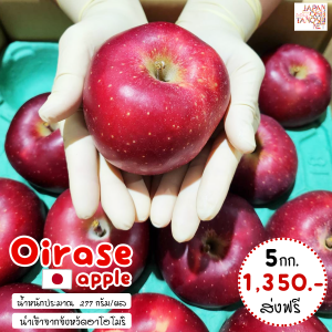 Oirase apple size 36 ชุด 5 กก.