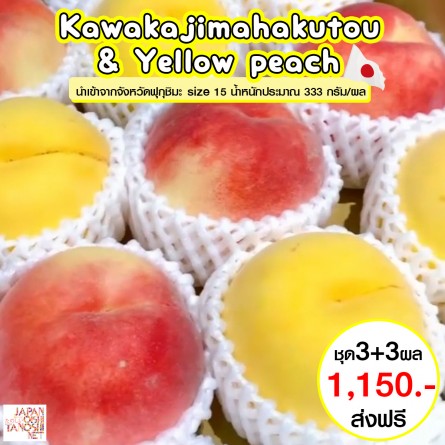 Kawanakajimahakutou 3 ผล + Yellow peach 3 ผล (Size 15)