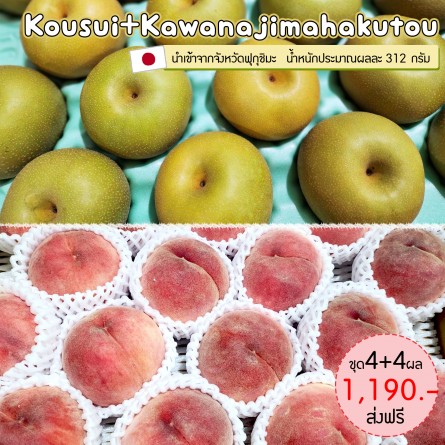 Kawanajimahakutou Size 16 ชุด 4 ผล + Kousui Size 32 ชุด 4 ผล