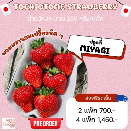 Strawberry Tochiotome