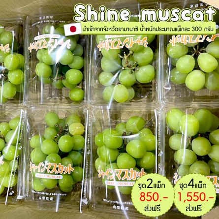 Shine muscat size 10
