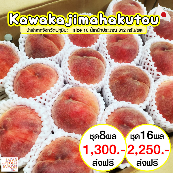 Kawanakajimahakutou size 16