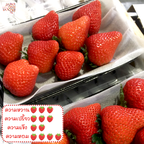 Koiminori Strawberry ชุด 2 แพ็ก