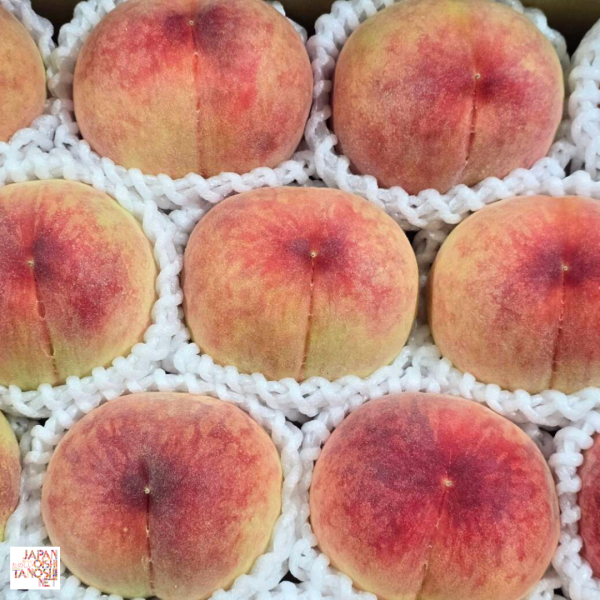 Yamanashi peach size 16 ชุด 4 ผล