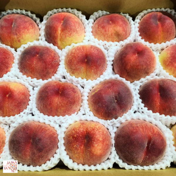 Yamanashi peach size 18 ชุด 8 ผล