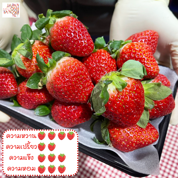 Yubeni Strawberry