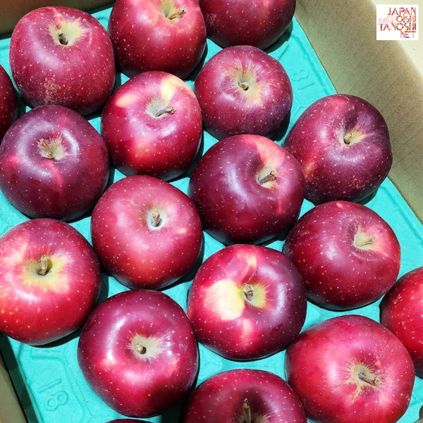 Oirase apple size 36 ชุด 18 ผล