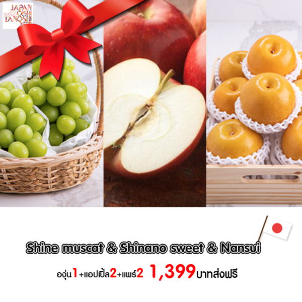 Apple + Pear + Grape Set