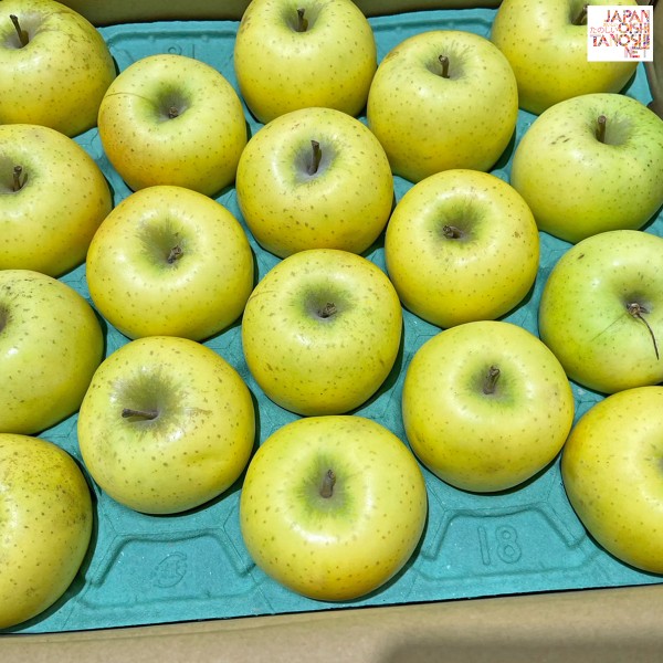 Shinano gold apple size 36 ชุด 10 ผล