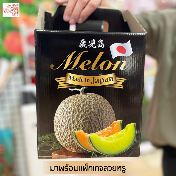 Earls Melon size 6 ชุดเมลอนแดง 1 ลูก + เมลอนเขียว 1 ลูก