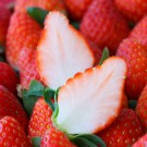 Strawberry (Tochiotome)