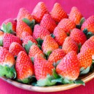 Strawberry (Tochiotome)
