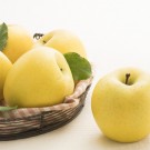 Shinano Gold Apple