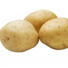 Potato - Nishiyutaka