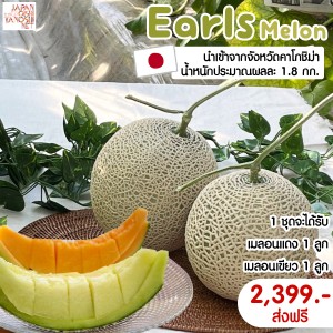 Earls Melon size 5 ชุดเมลอนแดง 1 ลูก + เมลอนเขียว 1 ลูก