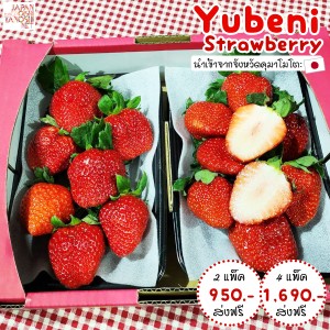 Yubeni Strawberry