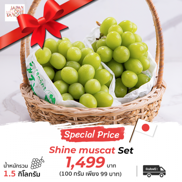 Shine Muscat Big size