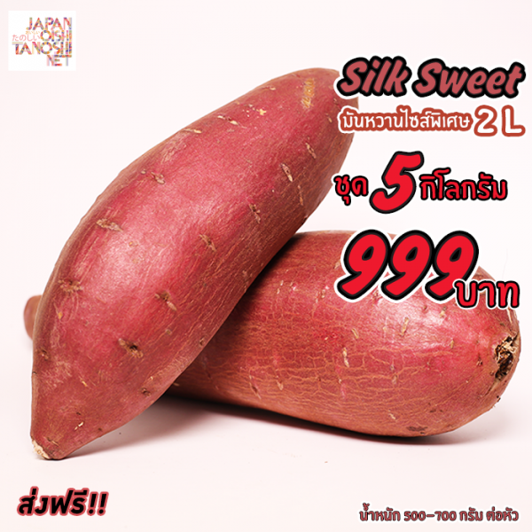 Silk Sweet size 2L ชุด 5 กก.