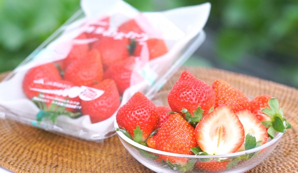 Amaou Strawberry ชุด 2 แพ็ก