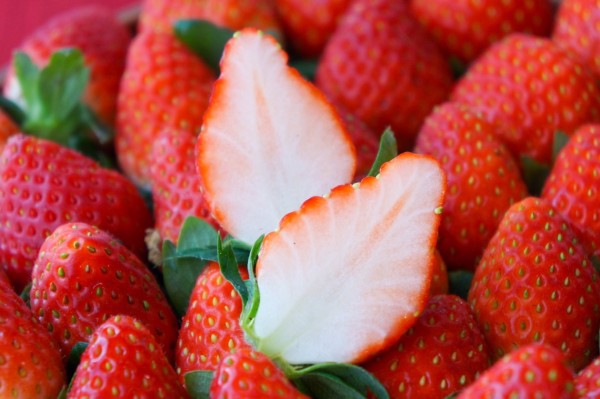Strawberry (Tochiotome)
