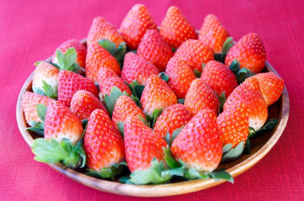 Strawberry (Tochiotome)