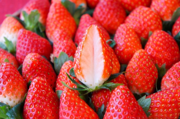 Strawberry (Tochiotome)