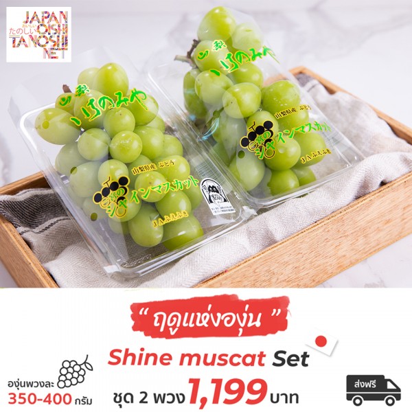 Shine Muscat