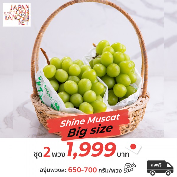 Shine Muscat Big size
