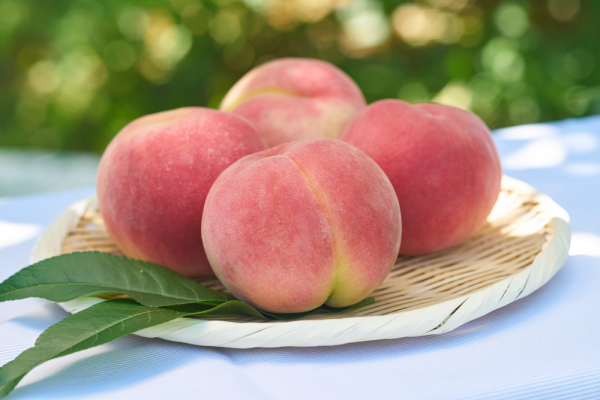 Hikawahakuho Peach