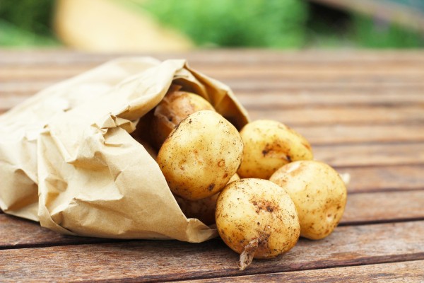 Potato - Nishiyutaka