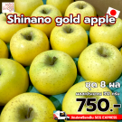 Shinano Gold apple size 32 ชุด 8 ผล